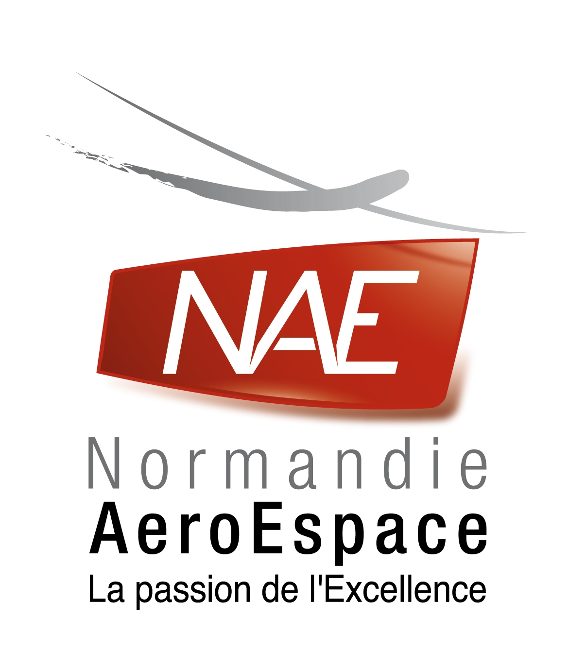 LUBODRY présentera la fonctionalisation des matériaux par incrustation de nanocharge, à la Tech Hour du cluster Normandie AeroEspace